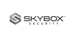 Skybox Security Logo